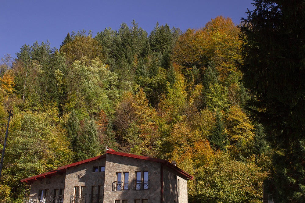 Mavrovo National Park